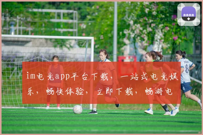 im电竞app平台下载，一站式电竞娱乐，畅快体验，立即下载，畅游电竞世界，三个平台，等你来战