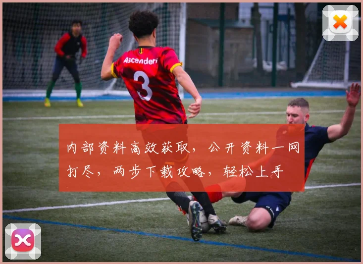 内部资料高效获取，公开资料一网打尽，两步下载攻略，轻松上手